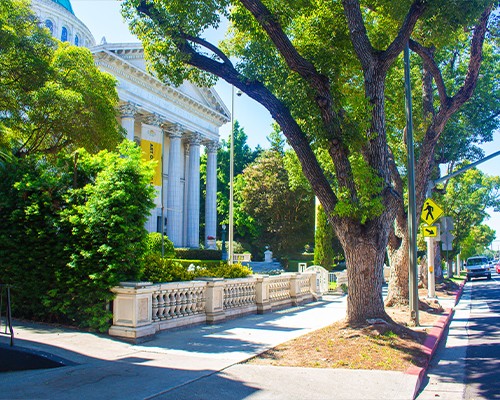 Greek columns of a usc building meet a tree-lined street in university park neighborhood of west adams