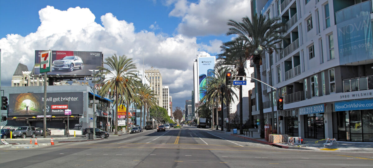 Niche Communities 23 a street with palm trees and buildings