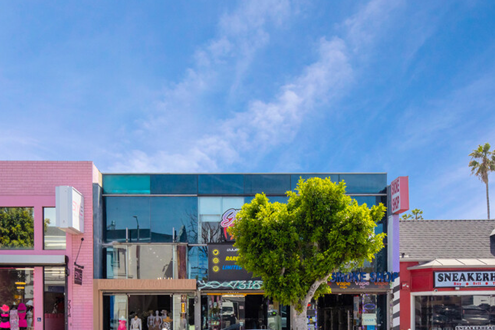 a tree in front of a building