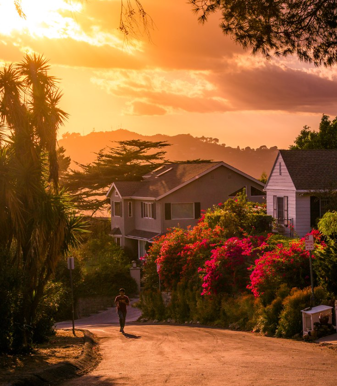 Niche Communities 1 a person walking on a street with houses and trees