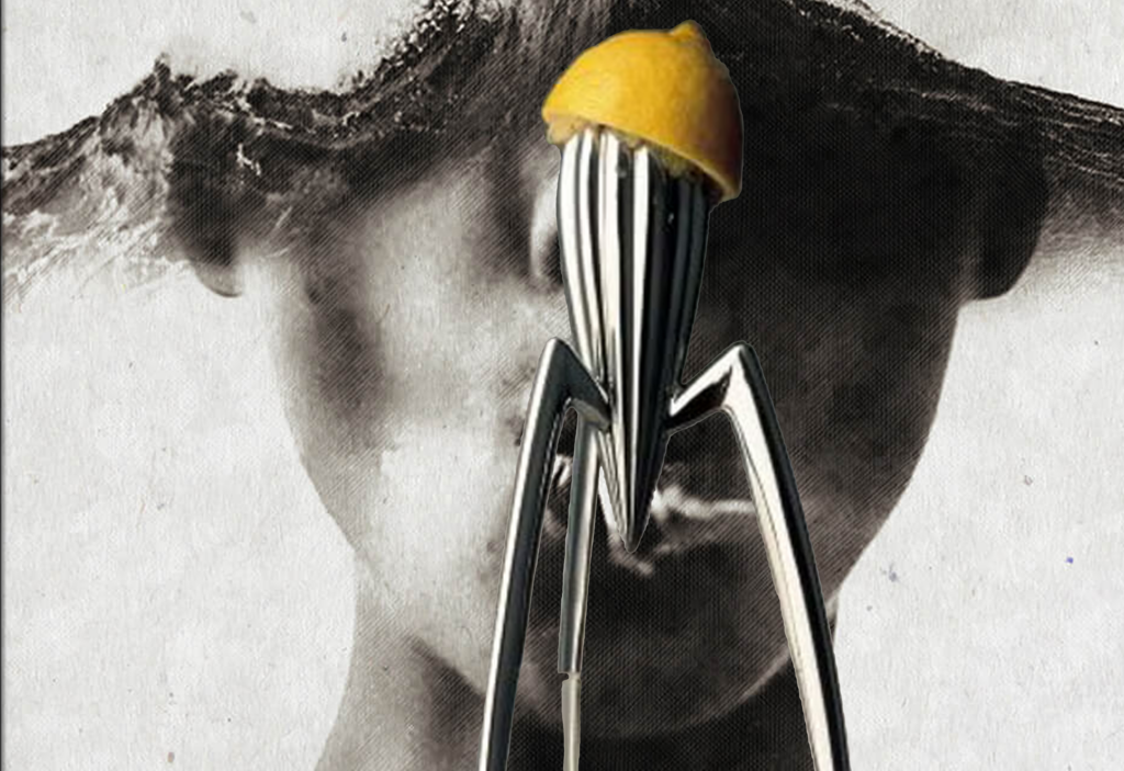 amazing designers luxury interior design