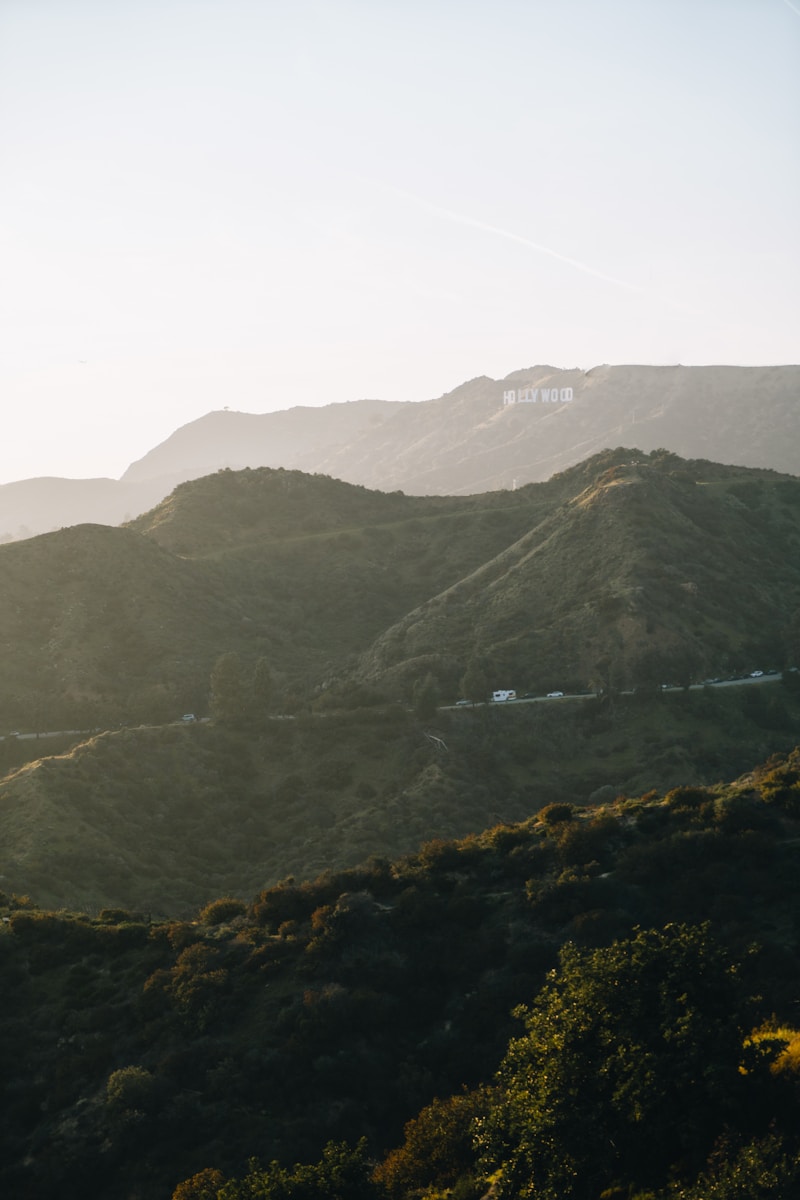 Agoura Hills Gated Homes for Sale 1 a scenic view of a mountain range with trees