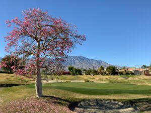 hollywood hills golf course