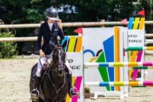 hollywood hills equestrian center