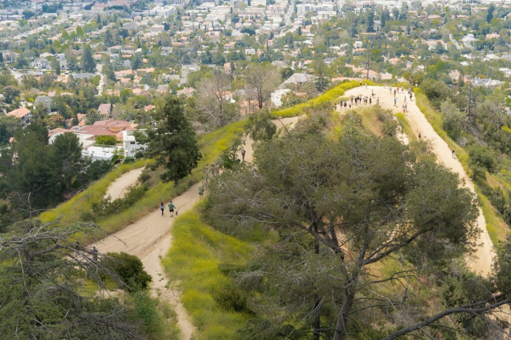 a view of a city from the top of a hill