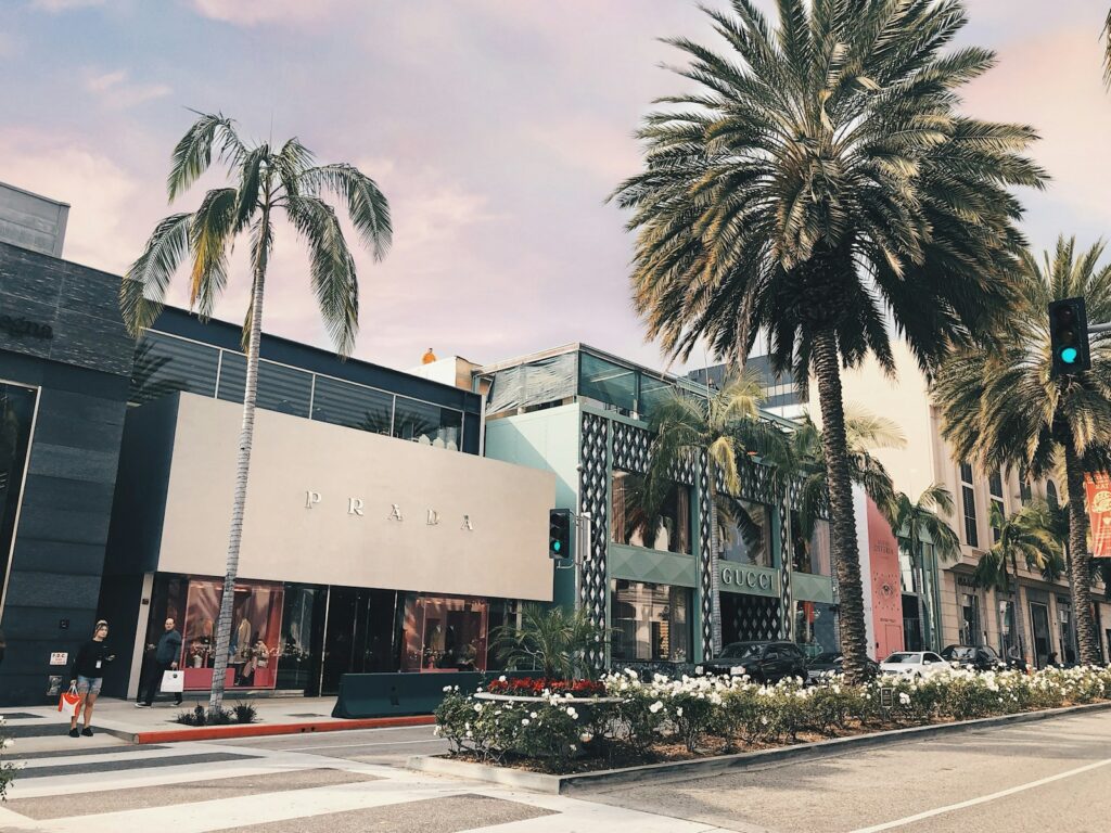 palm trees in front of white concrete building