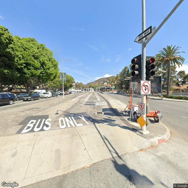Living in the Hollywood Hills: The Real Guide for Buyers 1 Street view of Hollywood Hills residential neighborhood with luxury homes and tree-lined streets