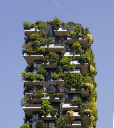 sustainable homes for sale building covered in plants