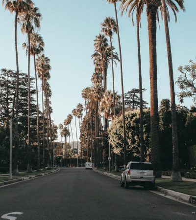 encino condos for sale White Vehicle Parked on Road Between Trees