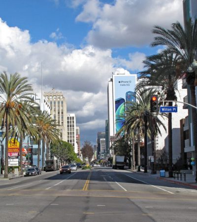 Koreatown a street with palm trees and buildings