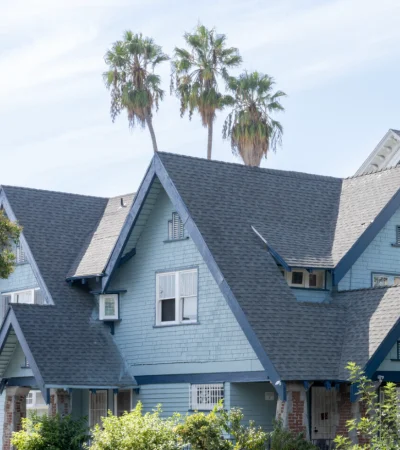 a house with trees on the roof