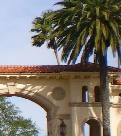 a palm tree on a building