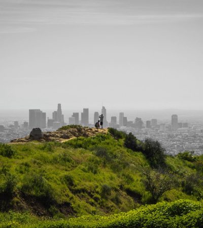 Elegant luxury homes in Altamont Ridge, Los Angeles neighborhood featuring modern architecture and premium landscaping