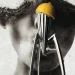 a lemon on a metal squeezer