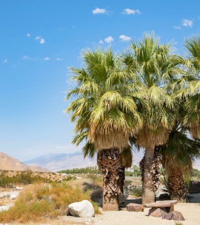 Stunning luxury home in Cahuilla Hills, Palm Springs with modern architecture and desert landscape views