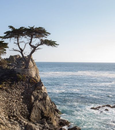Stunning luxury home in Carmel, CA available through The Knight Group real estate agency