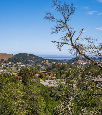 Luxury homes in Coloma, California showcasing local real estate market