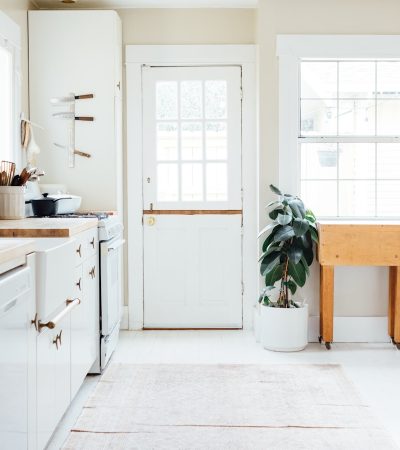 green potted leaf plant beside white wooden door