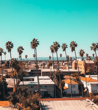 Palms gray concrete buildings