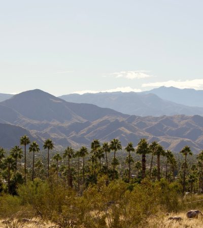 Luxury residential property in El Mirador, Palm Springs with modern architecture and desert landscape views