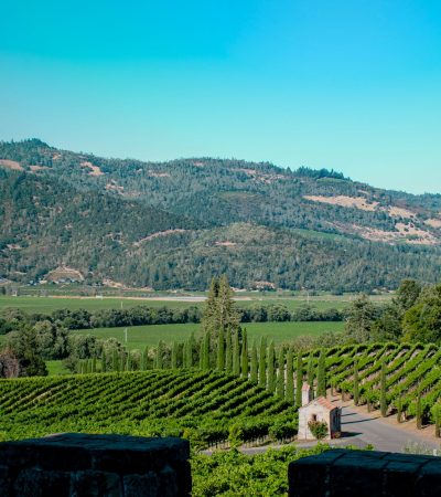 Luxury home in Esparto, CA showcasing rural California real estate and vineyard landscape views