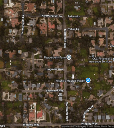 Luxury residential home in Eucalyptus Grove, Goleta with modern architecture and landscaping