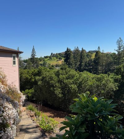 Luxury homes in Forest Knolls, San Francisco with tree-lined streets and modern architecture