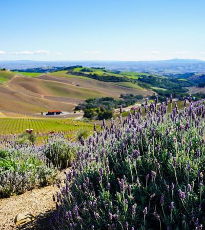 Beautiful homes for sale in Templeton, California showcasing luxury real estate properties