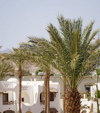 Luxury resort-style residence at La Quinta with palm trees and desert landscaping in Coachella Valley