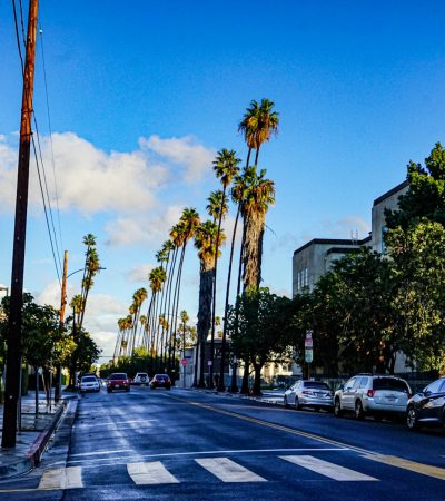 koreatown condos for sale a city street with palm trees and a traffic light
