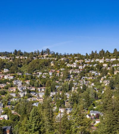 Luxury forested hillside homes in Lodge Hill Cambria community with natural landscape setting