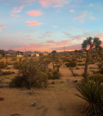 Luxury homes in Los Lagos Indian Wells community with modern architecture and desert landscaping
