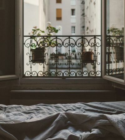 french homes for sale los angeles closeup photo of open window with flower