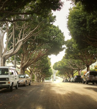 Charming residential home in Oak Park, Santa Barbara, showcasing classic California architecture and tree-lined streets perfe