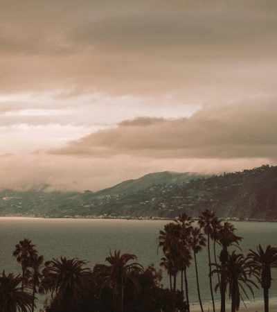 Westside a body of water surrounded by palm trees