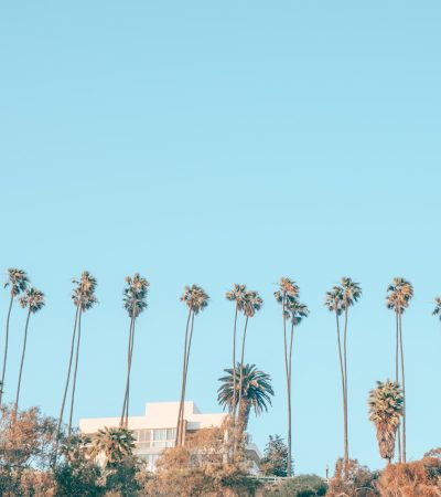malibu condos for sale palm trees during daytime