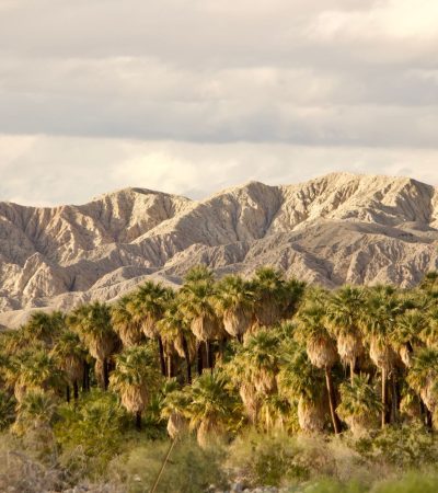 Luxury residential property in Tierra Vista, Palm Desert with modern architecture and landscaping