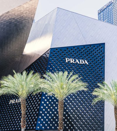 Stunning twin palm trees frame luxury modern architecture in Palm Springs, California real estate