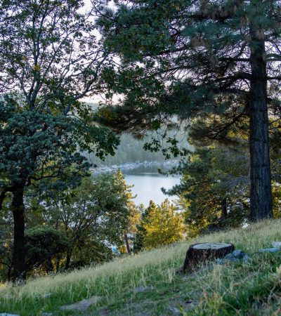 Luxury home for sale in Twin Peaks, Lake Arrowhead with mountain views and modern architecture