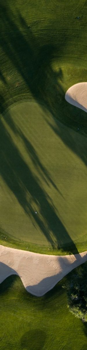 bird's eye photo of grass field